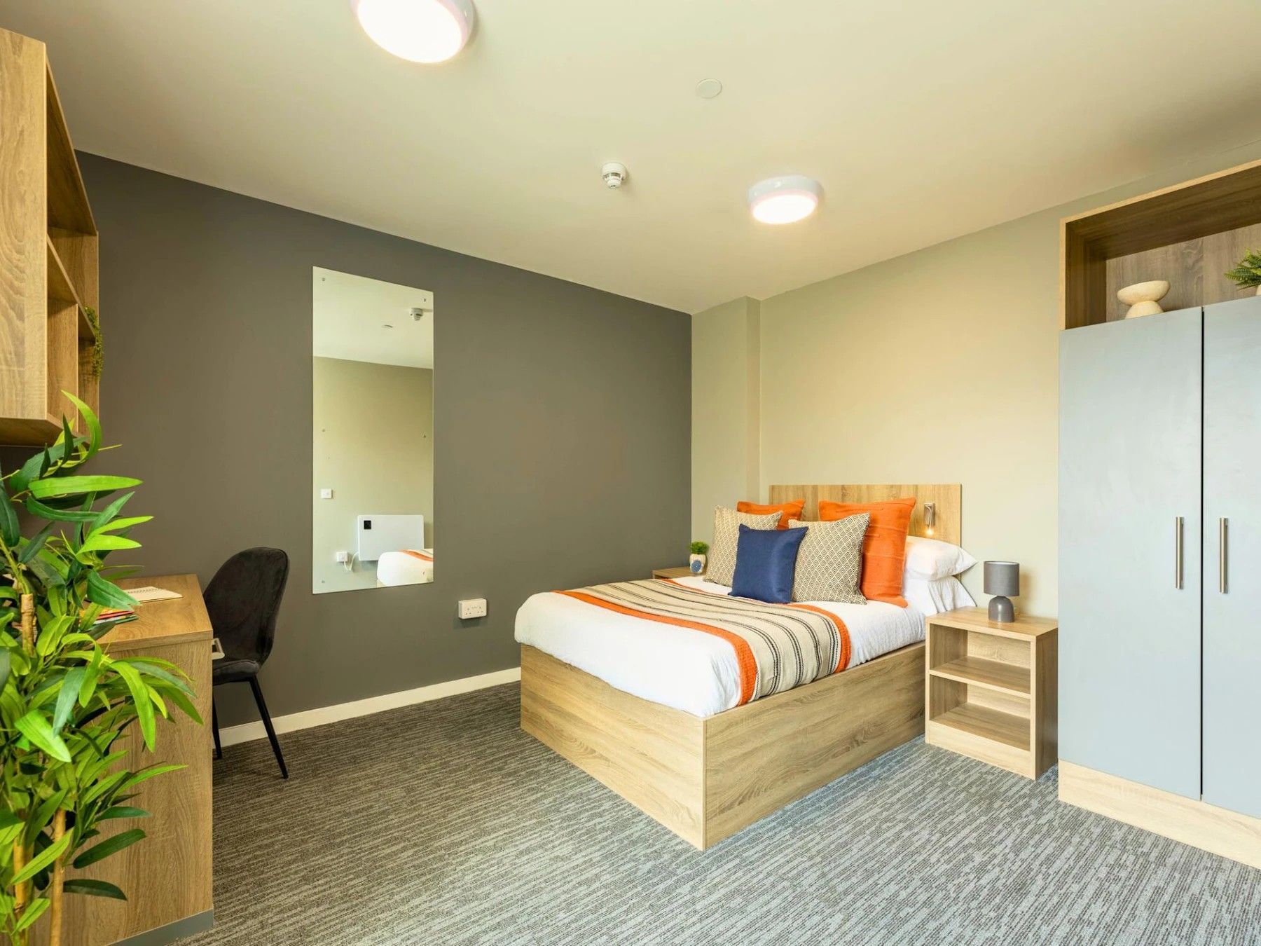 1 Bed Apartment